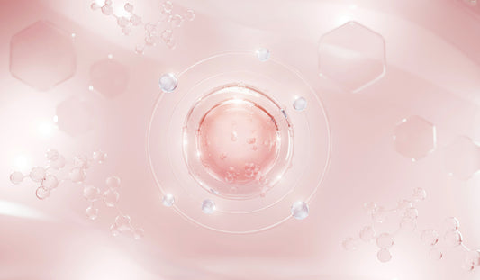 COLLAGEN-INGREDIENTS-EXPLAINED